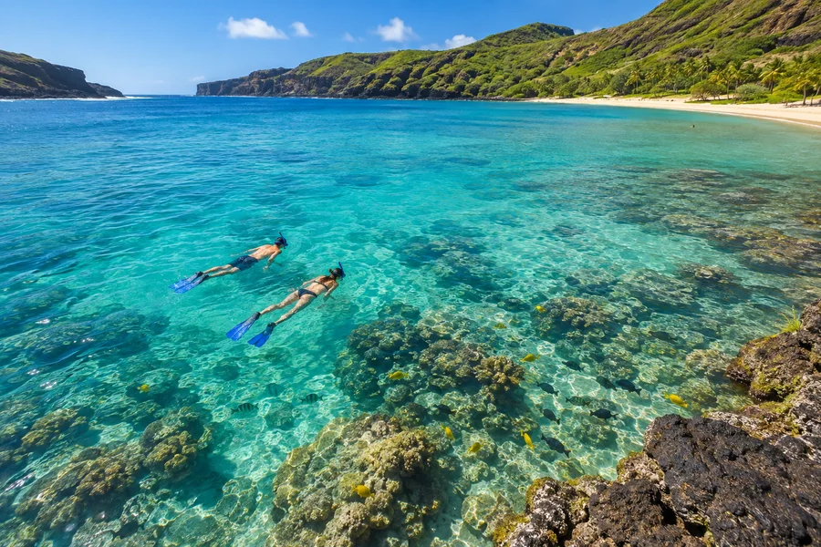 Snorkelers above a clear tropical reef